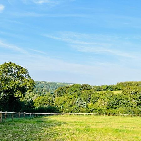 1 Bedroom Holiday Let In The Heart Of West Wales Кармартен Екстер'єр фото