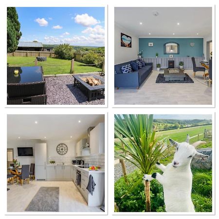 1 Bedroom Holiday Let In The Heart Of West Wales Кармартен Екстер'єр фото